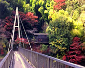 ��������@�߈�̏h�@���_��