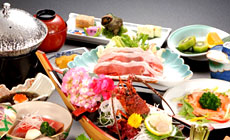 �ɓ��@�ɓ�����@�p���X�z�e��