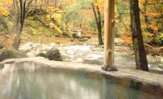 �J�쉷��@�����ق��T�炬�i�����炬�j