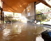 �z�e���@�E�F���V�[�Y���l���΁i���F���S�z�e���@�G���p�C�A�j