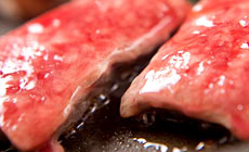 �R�z�@����@�����@�c�T�q