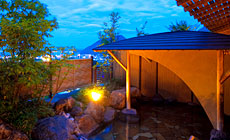 �ʕ{����@���]�̏h�@������