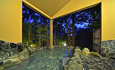 �ɓ���������@�����h�@���̂�