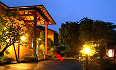 �ɓ���������@�͂Ȃ�h�@�P��