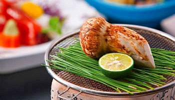 �O�J����@�Ђ����z�e��