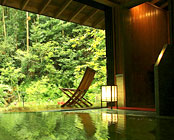 �y�쉷��̒뉀���ف@�ʏ����V��