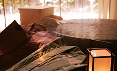 志戸平温泉 游泉 志だて