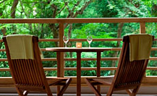 �������O�J����@���̉�