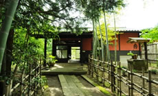 霧島温泉郷 鳥遊ぶ森の宿 ふたり静