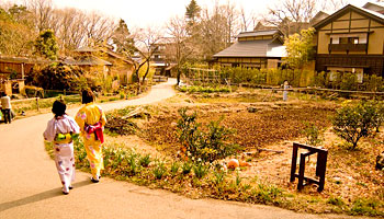 �����쉷�򋽁@�m�̓��@����̗�