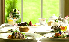 �ɓ������@�S���I�V���C�t���̏h�@�Ԃ̐X�N�����X