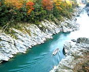 ���J�̓��h�@����달�܂�Ȃ�