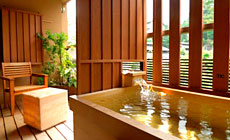 ������������@�G�̓��@�ጎ��