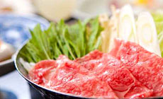 �ʕ{�S�։���@���Ɠ��̏h�@���c��