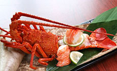 ���c����@�ɉꉮ����