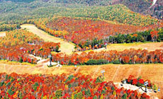 ��������@��܂̏h�@������