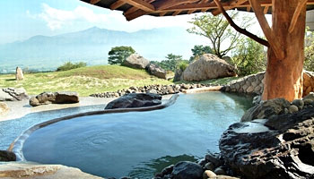 �z�e���O���[���s�A�숢�h