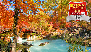 白骨の名湯 泡の湯