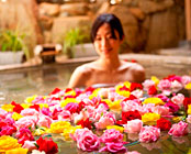 ��������҂牷��؂̓��@�g�~��