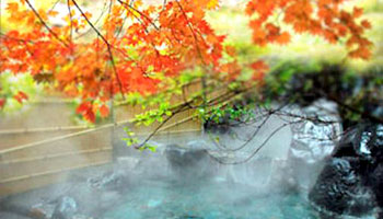 �쎡����@���h�@���R�t