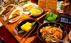 ���ˑ�P���V���g���z�e��