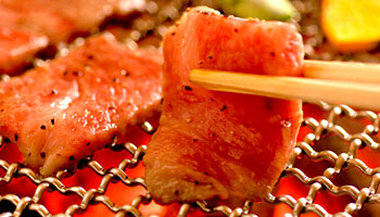 ���̏h�@�[�R����