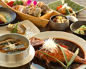 �ɓ��E�ɓ��@���ڑ�̏h�@�������