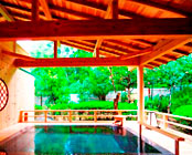 �ɐ�������΃��]�[�g�@��̓m