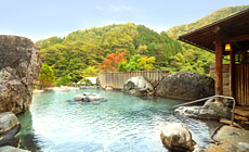 �䍂���@�R�̃z�e��