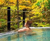 �M�B���R���򋽁@��l�I�V�╗�C�ƌk�J���̏h�@�R�c����@���i��