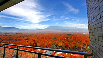 �ߐ{����@�z�e���G�s�i�[���ߐ{