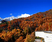 穂高温泉郷 ホテルアンビエント安曇野