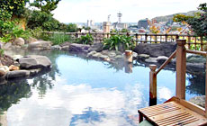 �ɓ�����@�z�C��