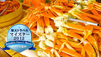 ���������z�e���p�C�v�̂��ނ�v���X