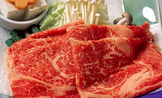 �܂�����̏h�@�ۈ�