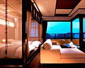 �ɐ��ɘȂށ@�����Q���̖����h�@�։��̋{