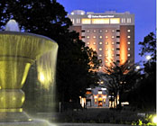 �_�C�����C�l�b�g�z�e�����l����