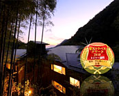 ���Y�Ƃ������̉B��h�@�ϐ�������@���Y��