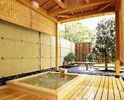 �y���V�����@�O���[���o�X�P�b�g