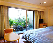 ���m�p�V�t�B�b�N�z�e��