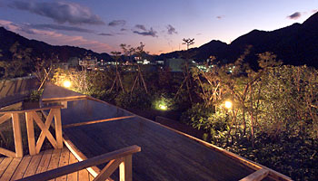 �S�{�쉷��@������