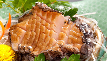 �a����̗����Ɠ��̏h�@������