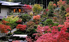 ���̉@�@�قĂ�@�Ƃ���