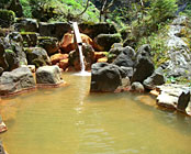 ���͉���@���ٌ�x