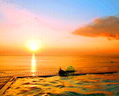 �˓c����@�C�̂قĂ�@������