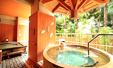 飛騨高山温泉 宝生閣