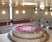 �T���p�[�N�z�e������