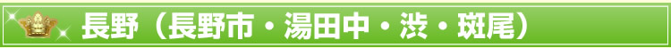 長野(長野市・湯田中・渋・斑尾)