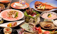 �S���I�V���C�t�q���@�ɓ������̉B��h�@��������������