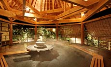 繋温泉 ホテル紫苑